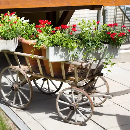 Διαμέρισμα Jolimont Ζερμάτ