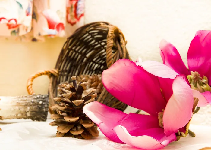 Jolimont Appartement